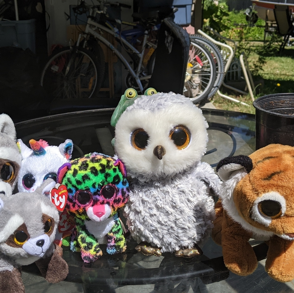 Variety of Beanie Boos